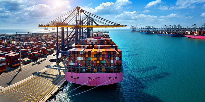 Importación directa de maquinaria pesada con entrega en Talcahuano.
