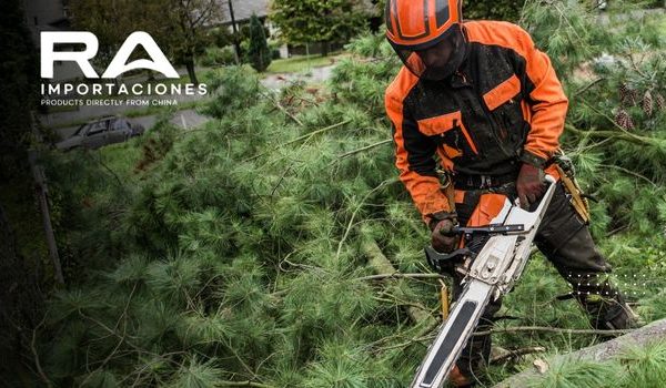 Motosierras a combustión importadas: ventajas, requisitos y errores frecuentes en Chile